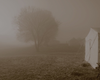 Early morning fog